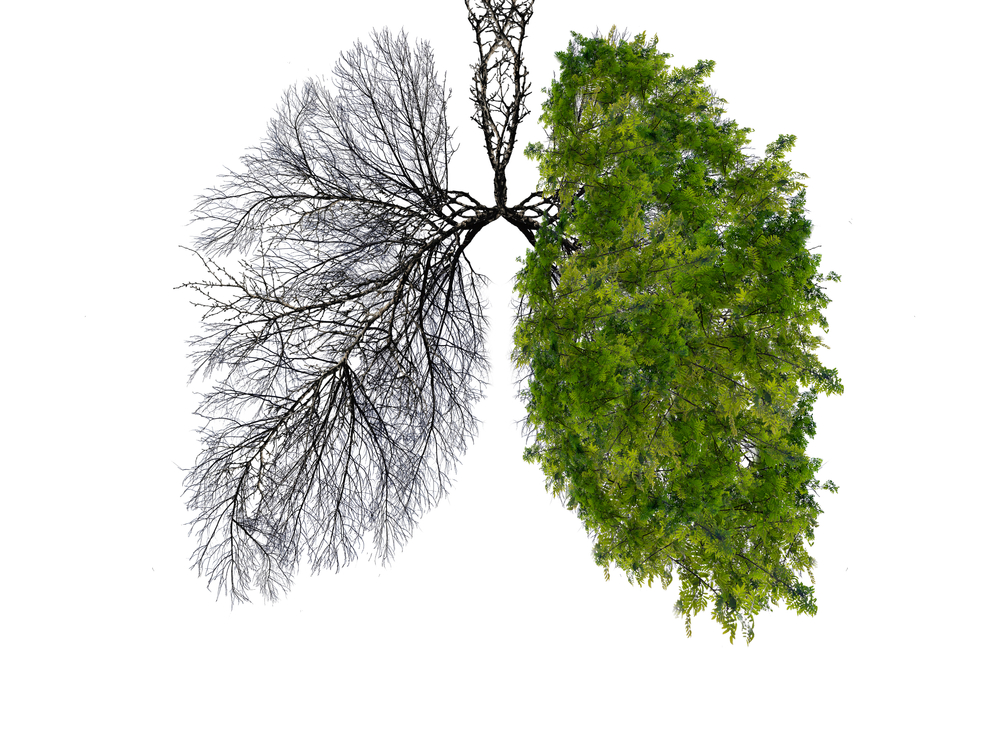 Clima y salud: la conexión que importa
